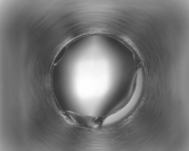 X0000066011089200603242051