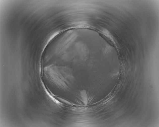 X0000066011095200603242051