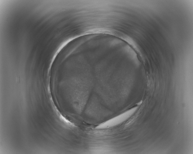 X0000066011102200603242051