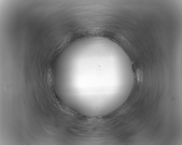 X0000066011107200603242050