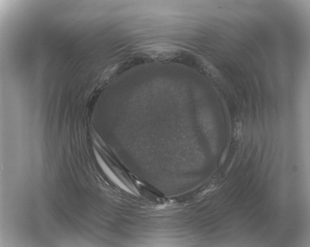 X0000066011108200603242050