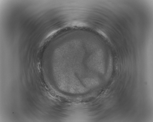 X0000066011112200603242050