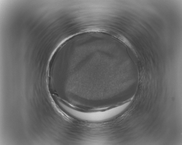 X0000066011132200603242051