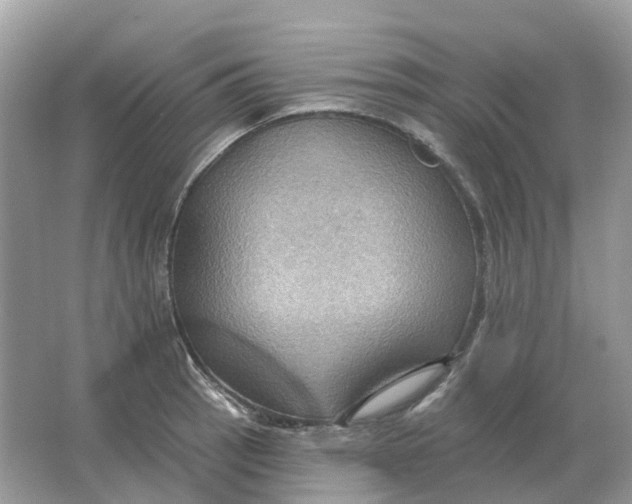 X0000066011137200603242051