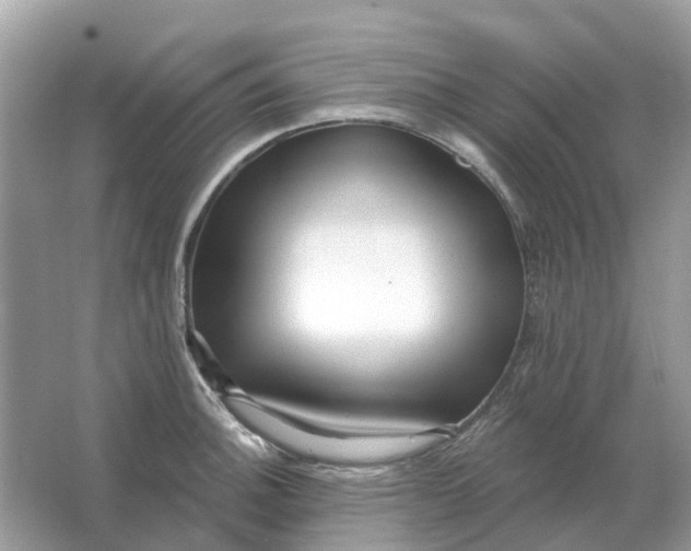 X0000066011140200603242051