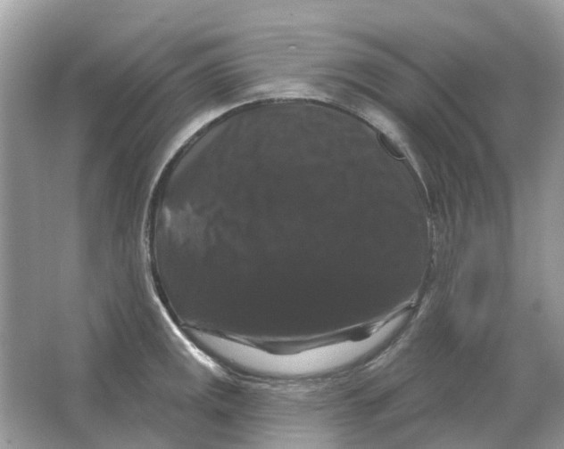 X0000066011141200603242051