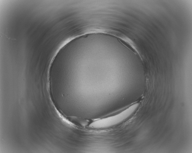 X0000066011143200603242051