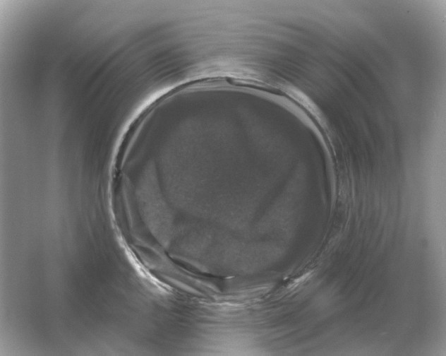 X0000066011144200603242051
