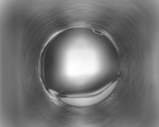 X0000066011147200603242051