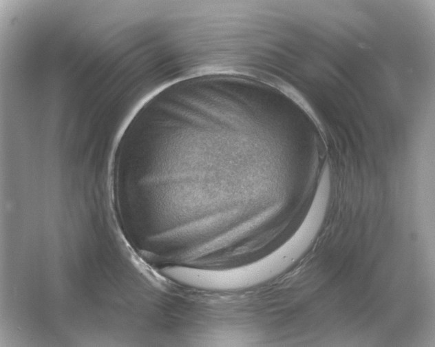 X0000066011148200603242051