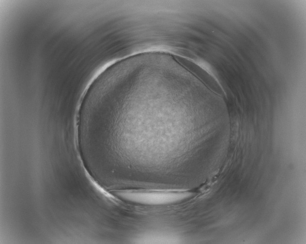 X0000066011151200603242051