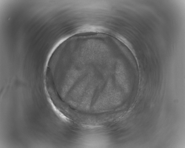 X0000066011152200603242051