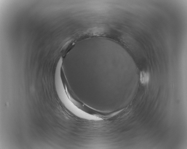 X0000066011155200603242050