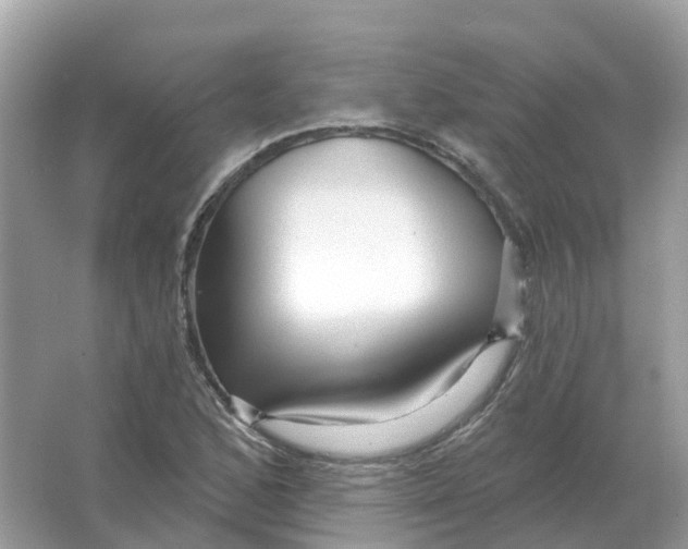 X0000066011168200603242050