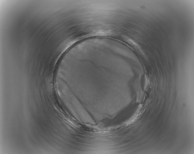 X0000066011170200603242050