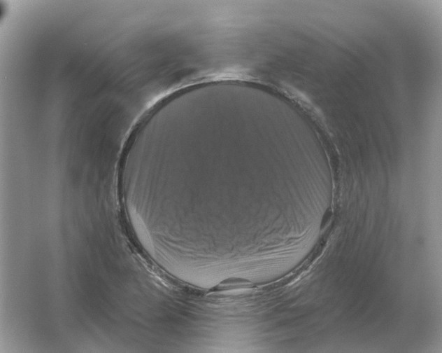 X0000066011174200603242050