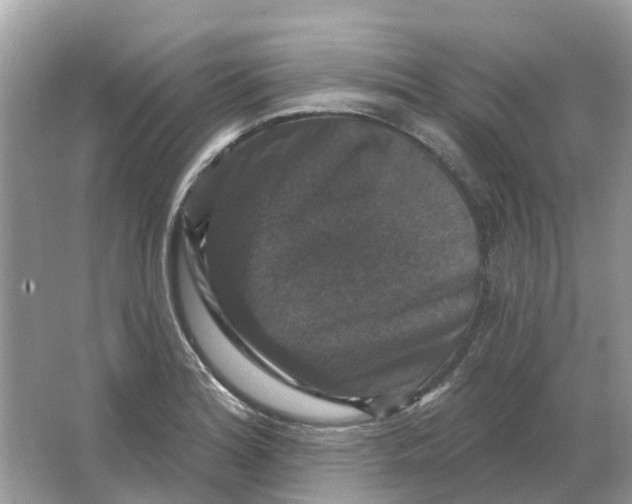 X0000066011180200603242050
