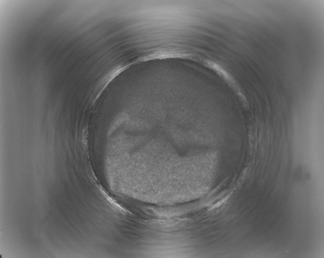 X0000066011185200603242050