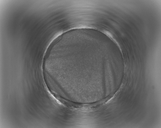 X0000066011189200603242049