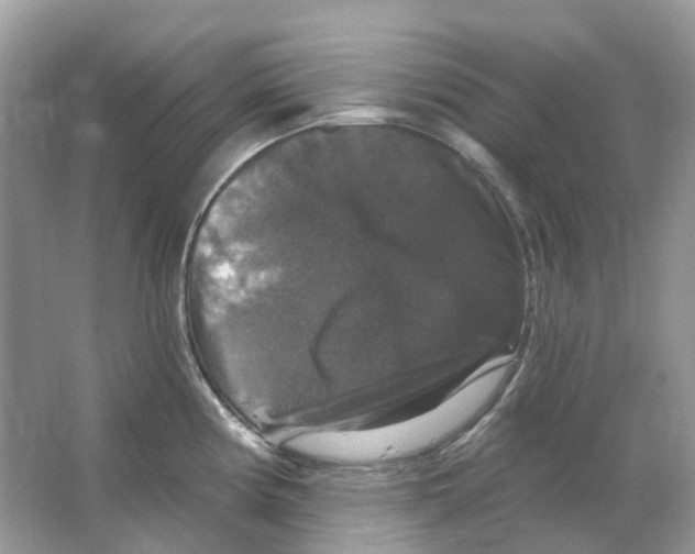 X0000066011194200603242049
