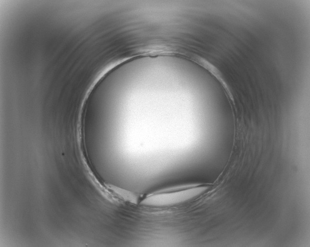 X0000066011195200603242049