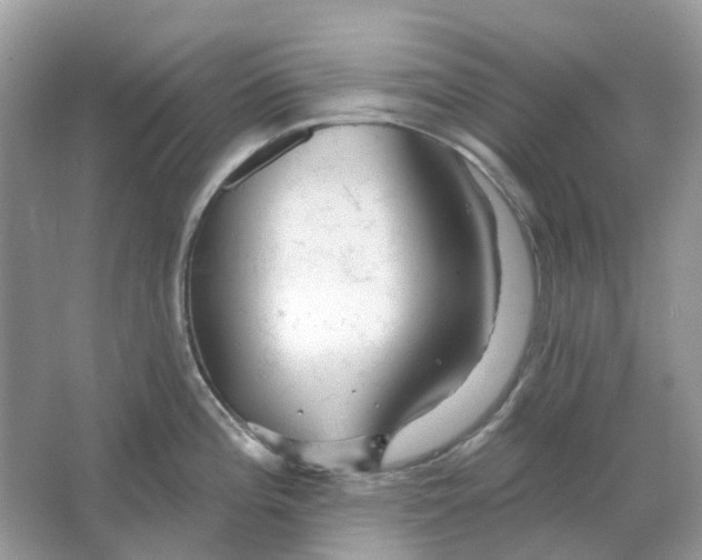 X0000066011196200603242049