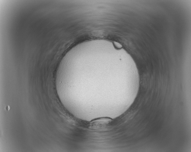 X0000066011201200603242048