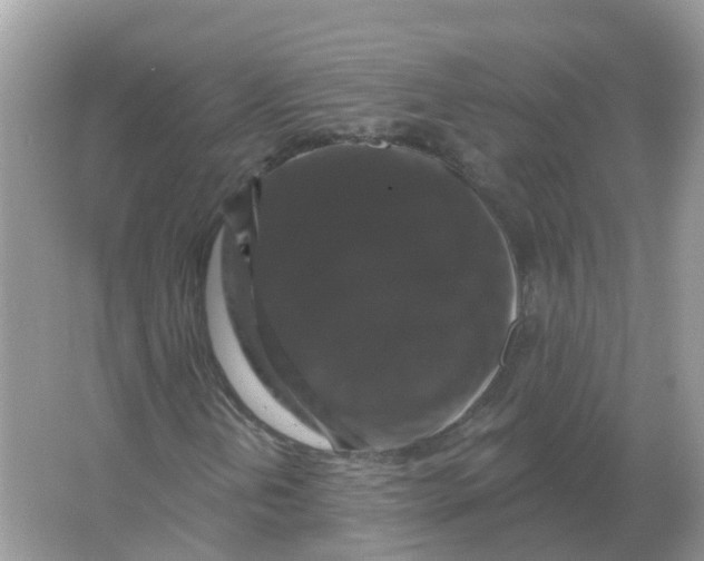 X0000066011202200603242048