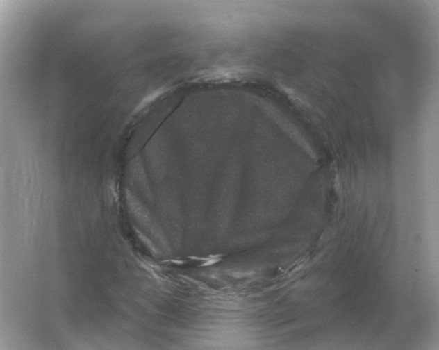 X0000066011206200603242049