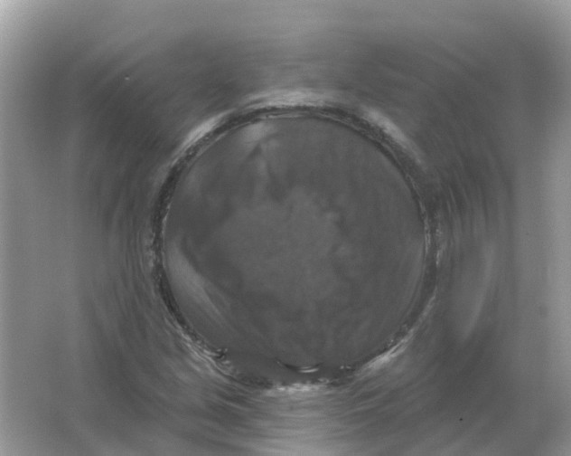 X0000066011213200603242049
