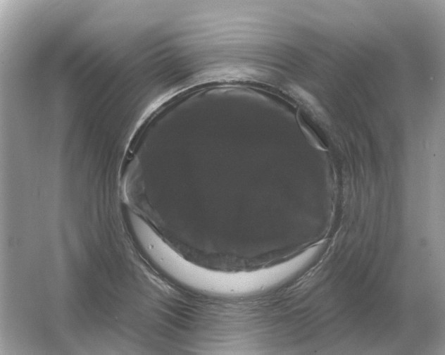 X0000066011226200603242049
