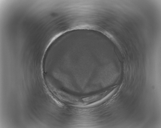 X0000066011230200603242049