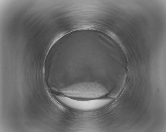 X0000066011234200603242049