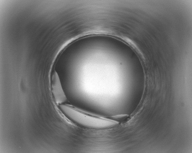 X0000066011238200603242049