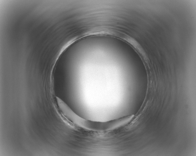 X0000066011242200603242049