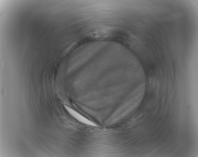 X0000066011250200603242048