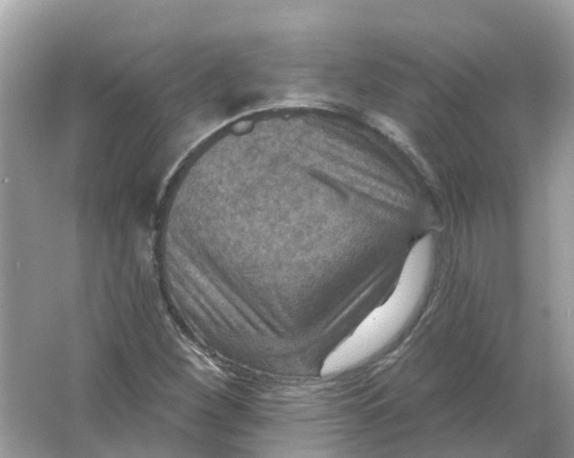 X0000066011260200603242048