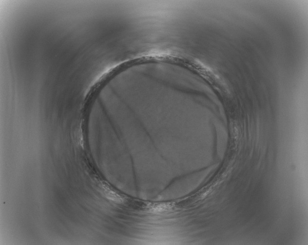 X0000066011262200603242048
