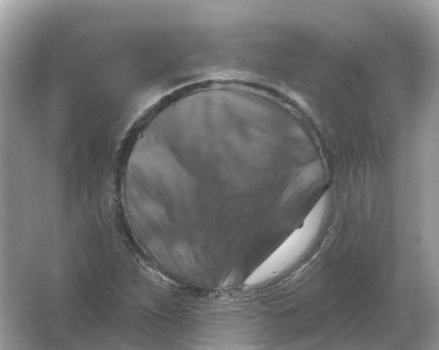 X0000066011263200603242048