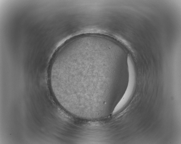 X0000066011264200603242048