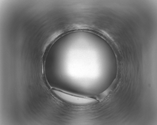 X0000066011269200603242048