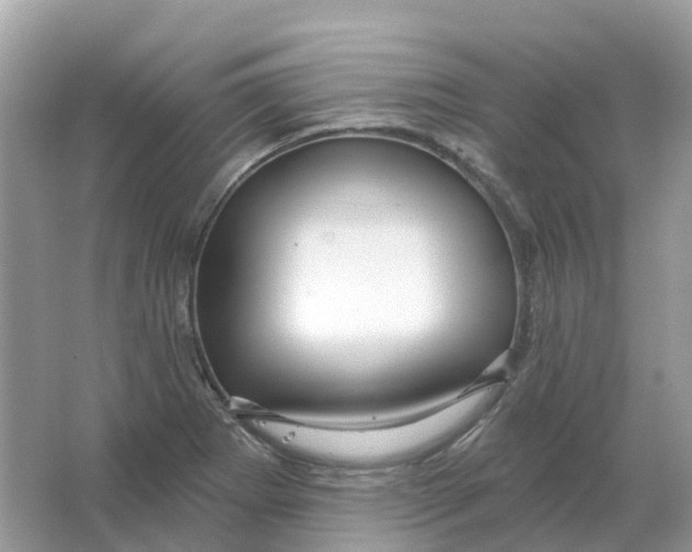 X0000066011273200603242048