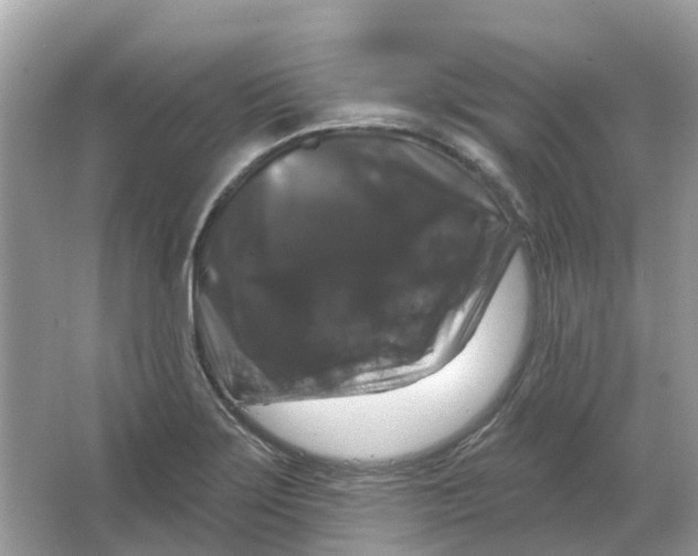 X0000066011275200603242048