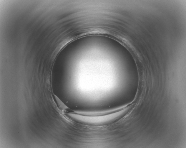 X0000066011281200603242048