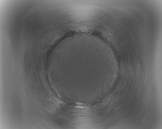 X0000066011297200603242047