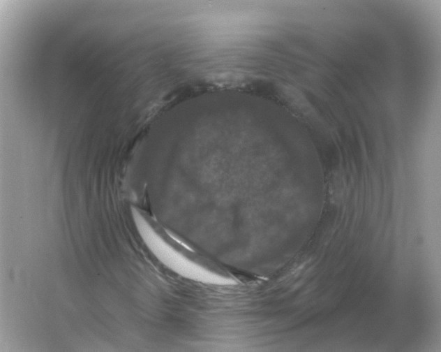 X0000066011298200603242047