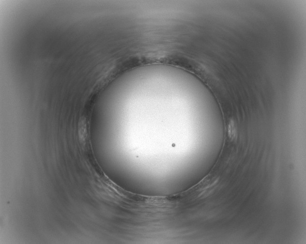 X0000066011299200603242047