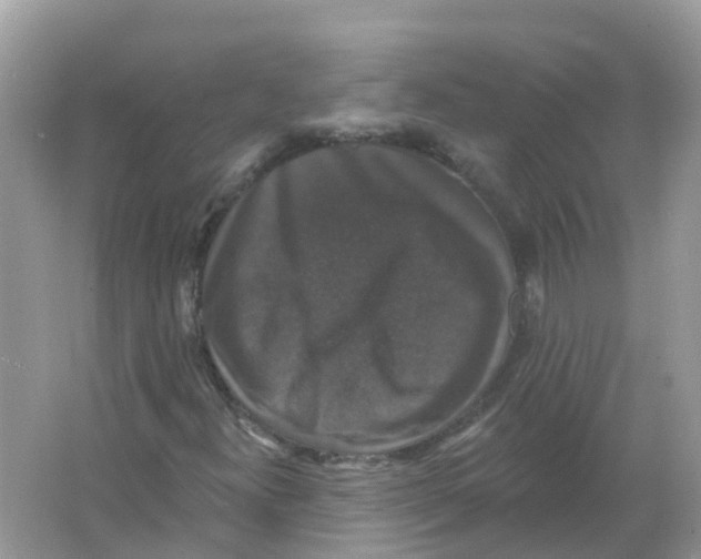 X0000066011300200603242047