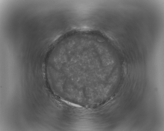 X0000066011301200603242047