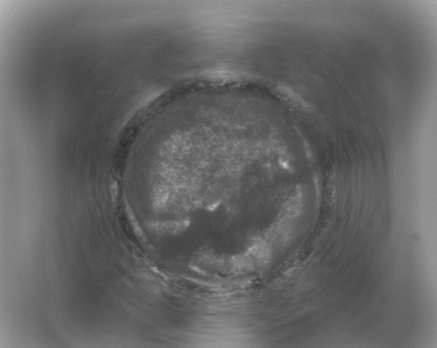 X0000066011302200603242047